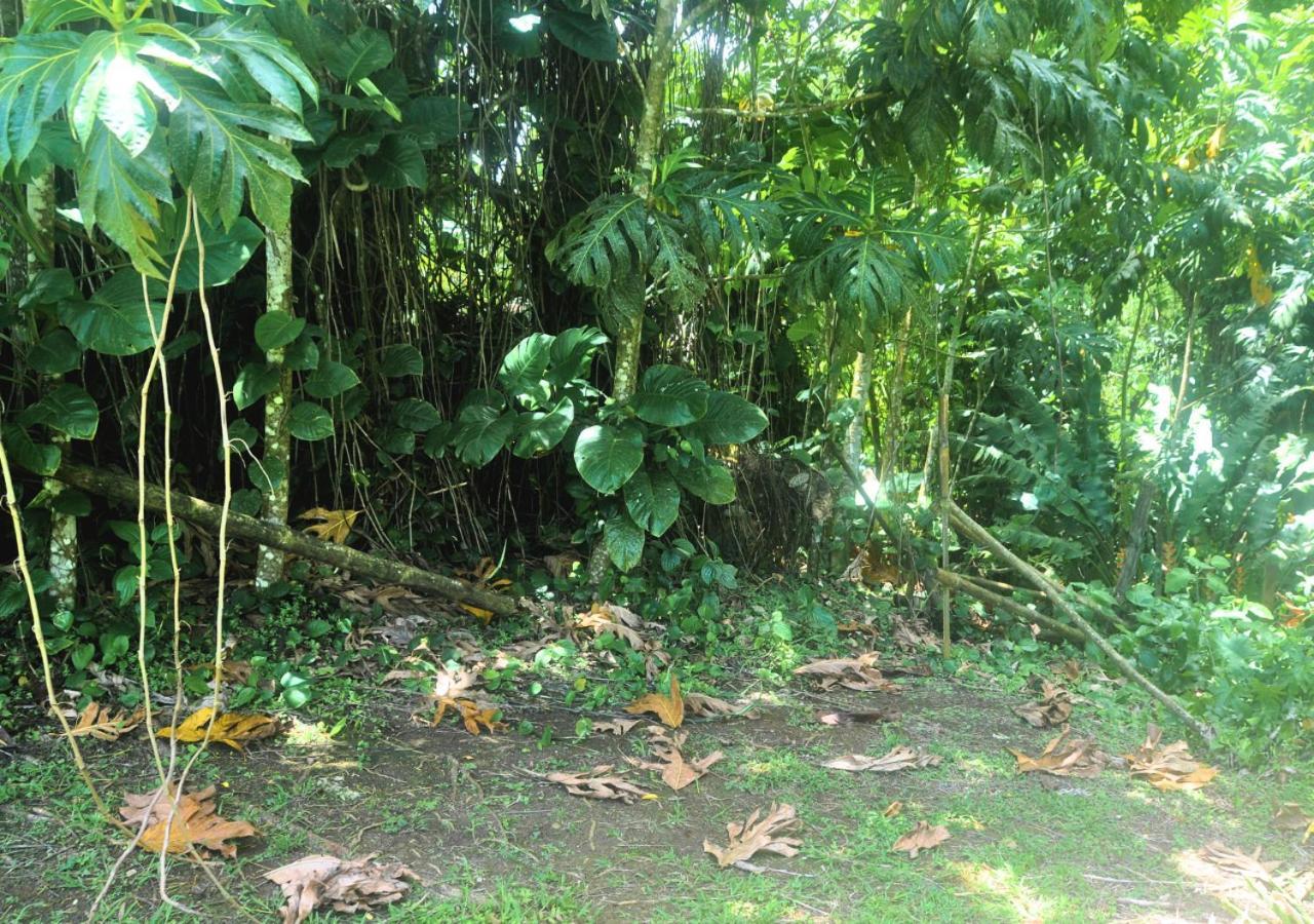 Villa Leila Sainte-Rose Buitenkant foto
